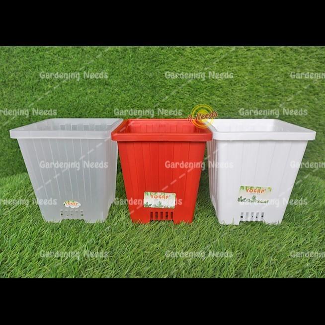 Pot Kaktus Tinggi Kotak Pot Bunga Yogap Kotak 22 Ypk 22