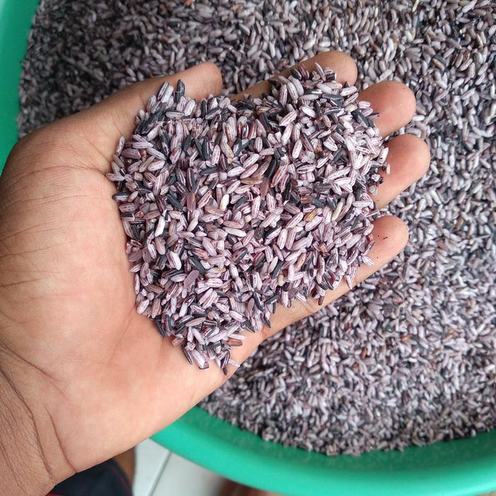 Ketan Hitam Sosoh 1Kg 25K Pasti Ori