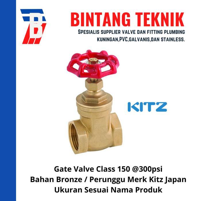 Gate Valve 3/4" inch Bronze Kitz Class 150