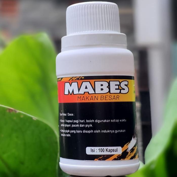 Phoenix Aviary - Mabes Baron Organik Burung Merpati Makan Besar Vitamin Suplemen Burung