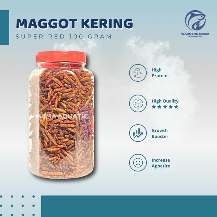 Maggot Kering SUPER RED 100gram Grade A Pakan Makanan Ikan Koi Arwana Channa