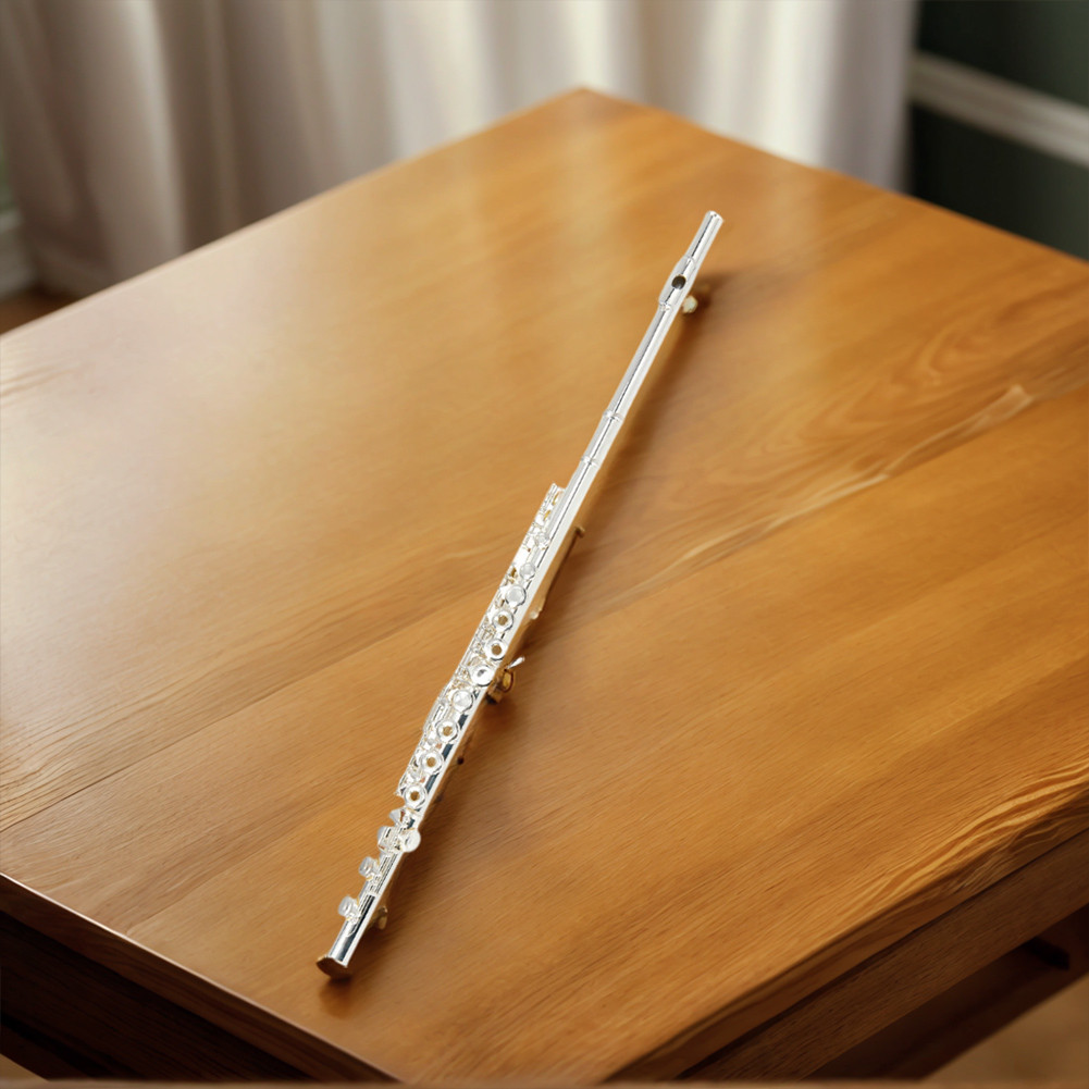 Closed Hole C Flute with Carrying Case/Bag Silver Plated Flute Open Hole 16 Keys Flute for Student