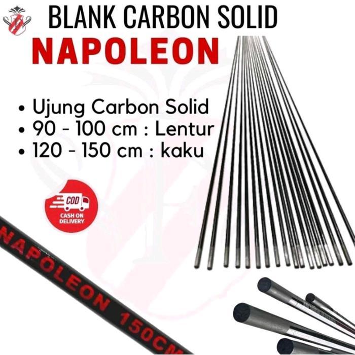 UJUNG CARBON SOLID FUKUSHIMA NAPOLEON