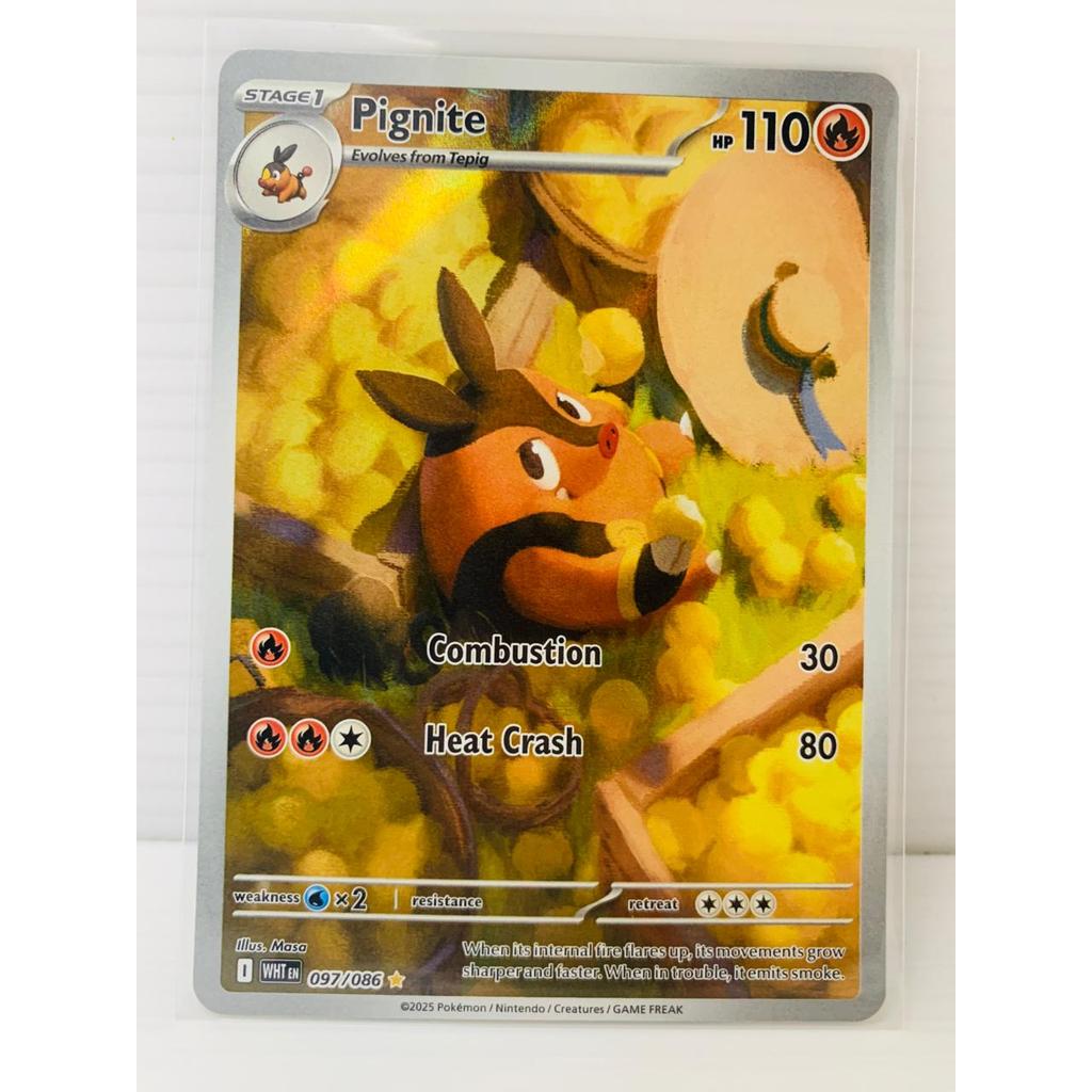 AR Pignite Pokemon White Flare English Inggris