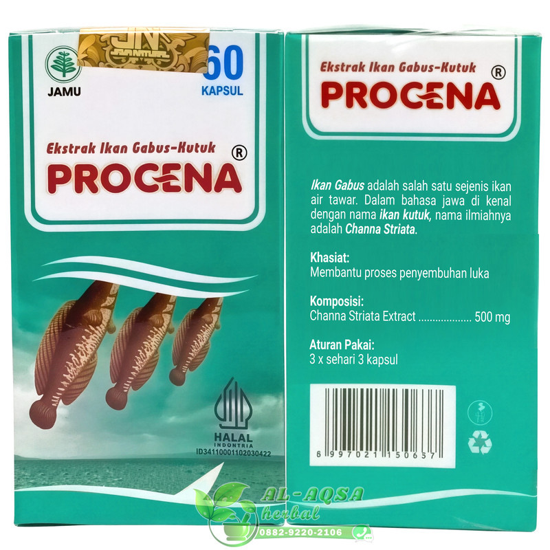 Procena Ekstrak Ikan Gabus 60 Kapsul Albumin