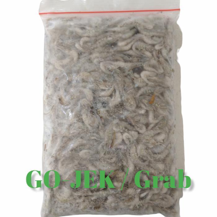 Udang Beku Pakan Ikan