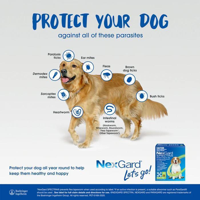 Diki_Diku Nexgard Dog Obat Kutu Anjing Nexgard Dog Obat Demodex Anjing