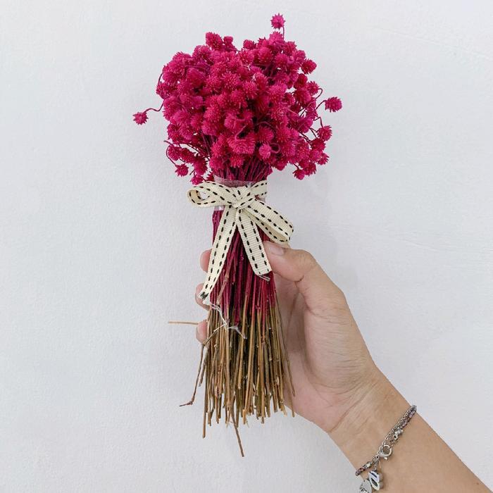 Bunga Manilan Kering / Dried Flowers / Bunga Kering / Bunga Kering Hias untuk Dekorasi Ruangan