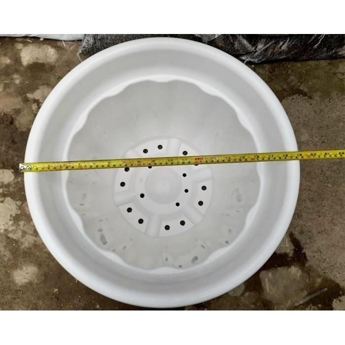 Koralineshop Pot 50 Cm Putih Gransi Toko Hias Bibit Buah Tinggi Besar Taman Tamanan