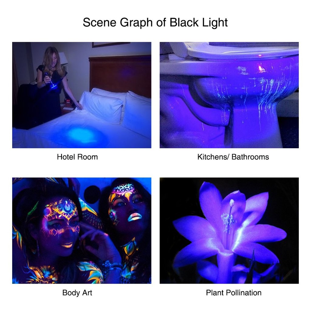 UV Flashlight 395nm Black Light Flashlights Zoomable UV Torch Ultra Violet Light Flashlights