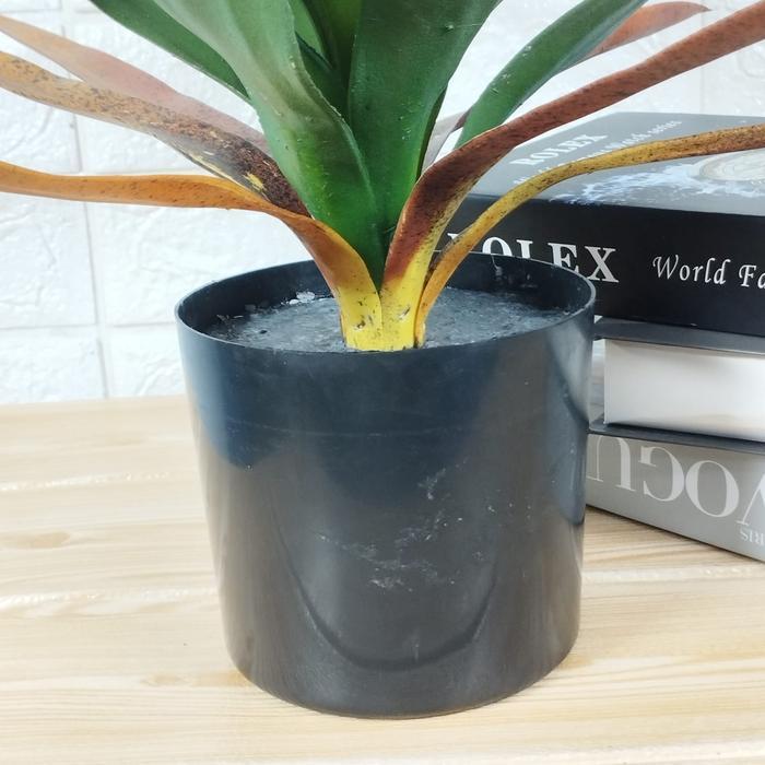 UNICO Tanaman Hias Pohon Plastik Import Termurah / Tanaman Pohon Yucca Hias Tinggi 40 CM / Pot
