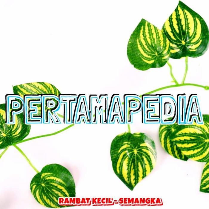 Daun Rambat Plastik/Daun Rambat Artificial/Daun Rambat Hiasan/Aquaria