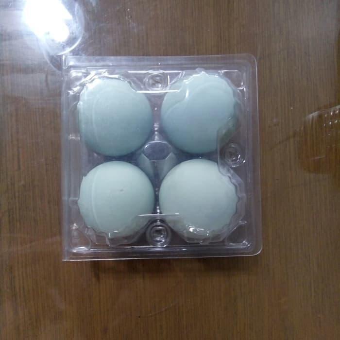 duck's egg tray / mika telur bebek isi 4