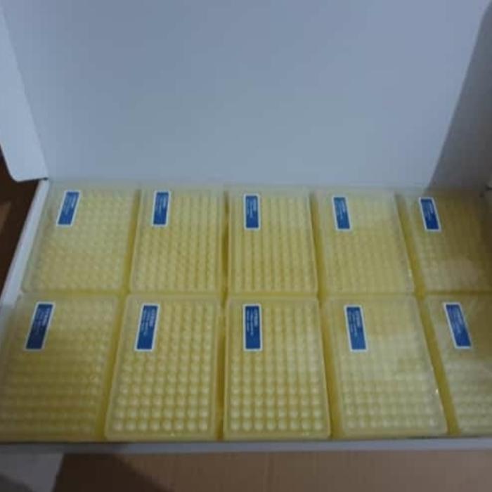 TEREMURAHTERLARIS READY SILAHKAN DIORDER FILTER TIPS GSBIO I 10/20/100/200/1000/1250 UL I UNIVERSAL