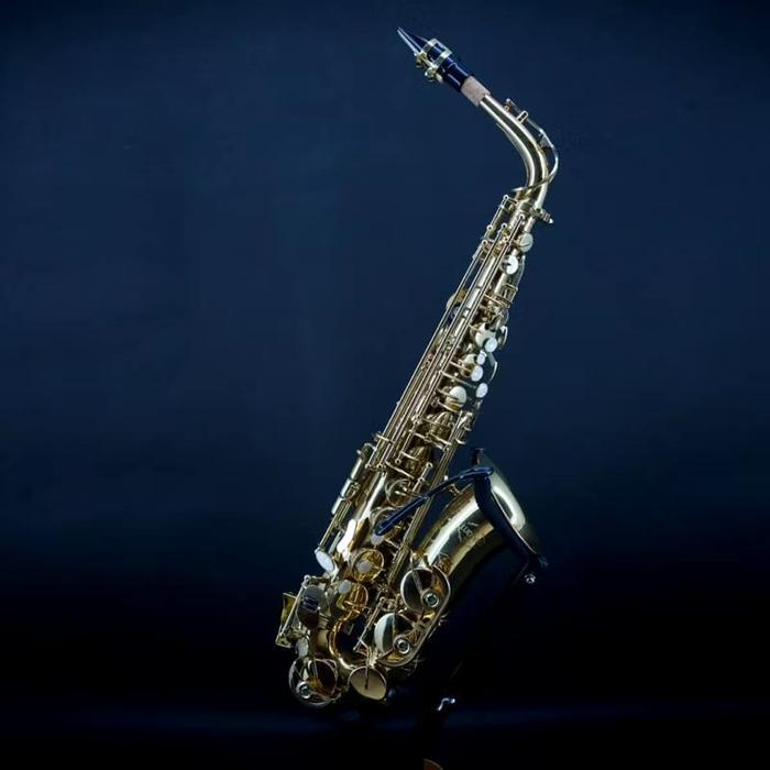 Alto Saxophone Ludwig LAS-275 By Jsax (100% Baru)