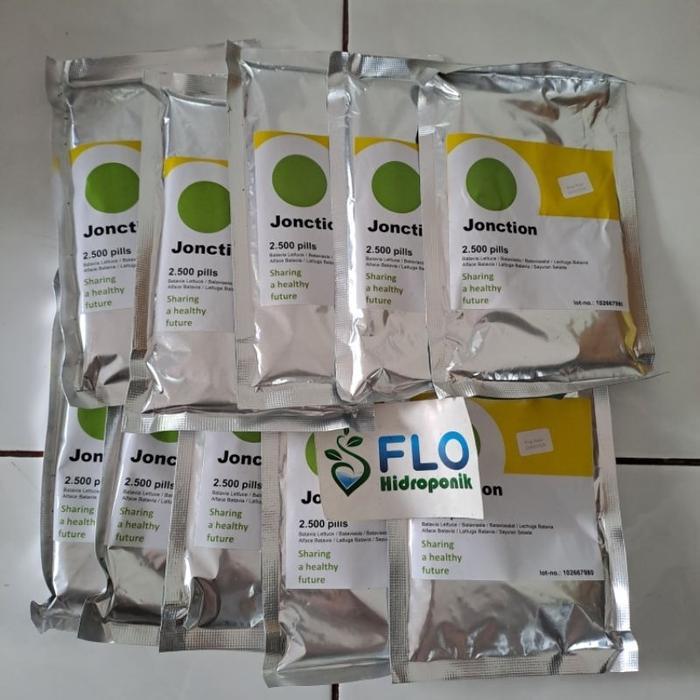 Benih Selada Keriting Jonction RZ Junction RZ 1000 2500