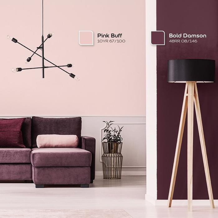Dulux Catylac Interior Pink Buff 5 Kg Galon Tinting