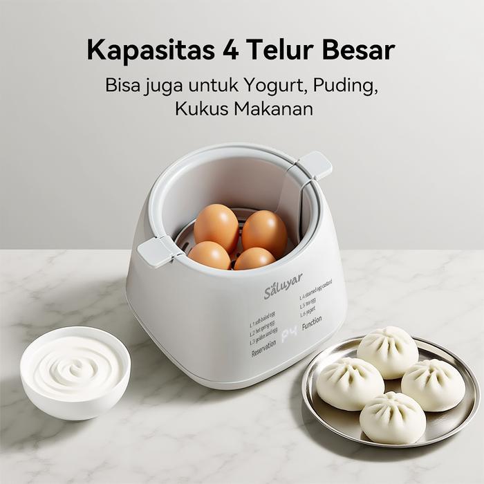 Saluyar Electric Egg Boiler Stainless Steel Plastic Double Layer Electric Egg Boiler 400Ml Dapat