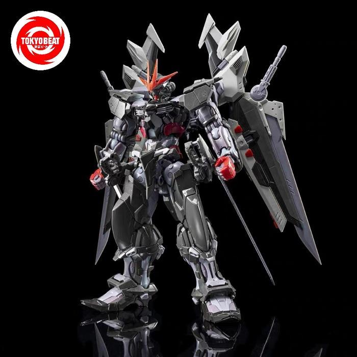 HIRM HI-RESOLUTION MODEL 1/100 ASTRAY NOIR MJH