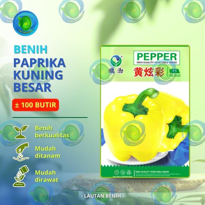 Swaylineshop 100 Butir Benih Paprika Kuning Besar Kemasan Pabrik Import