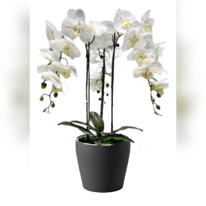 RANGKAIAN BUNGA ANGGREK PREMIUM LATEX- WHITE + POT KERAMIK DARK