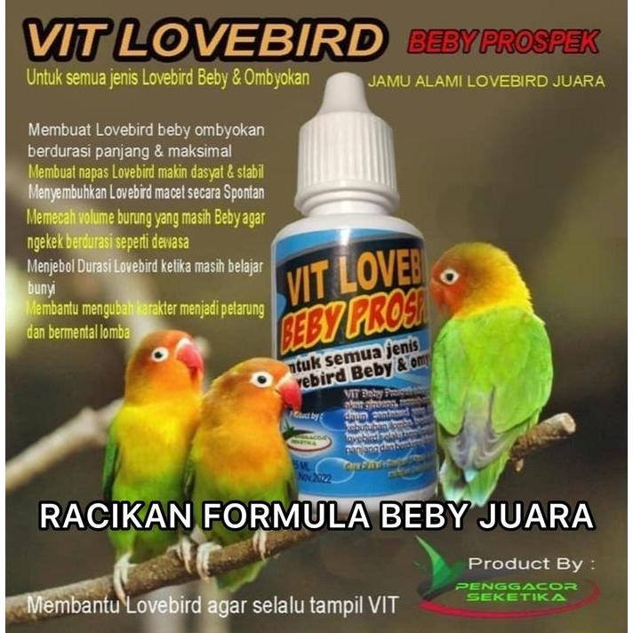 Vitamin Burung Lovebird Beby Prospek Vitamin Kontes Alami Lovebird Juara 1 Pcs