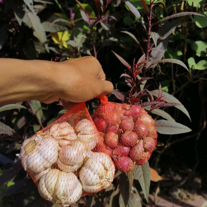 "New" Bawang Merah dan Bawang Putih Mix kemasan 500 gr Kecombrang