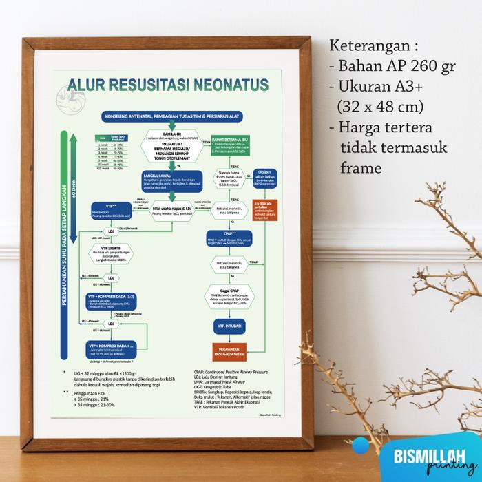 poster Kesehatan Alur Resusitasi Neonatus Paper