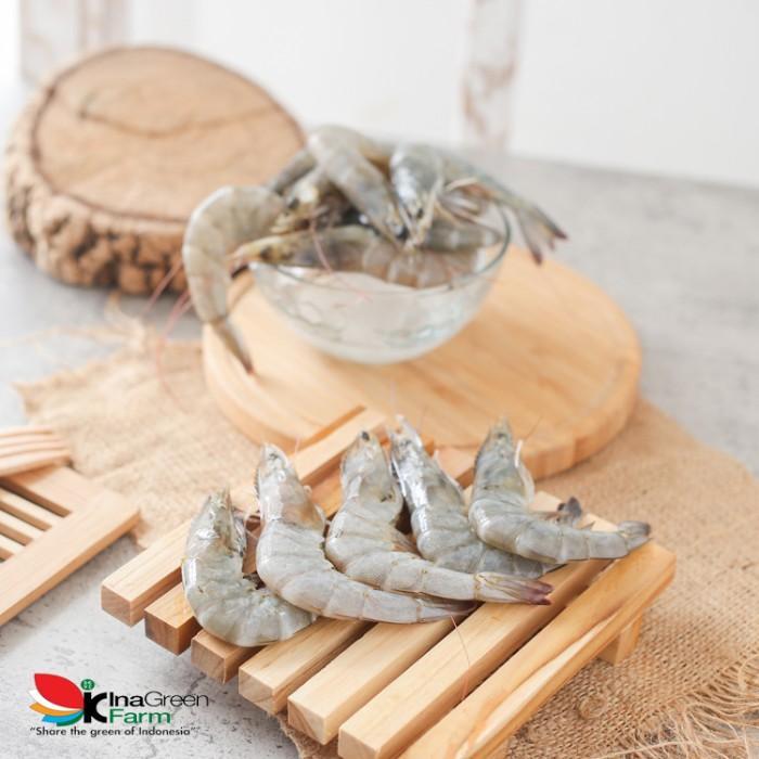 Sale Udang Peci Besar Premium Inagreen Farm Bandung