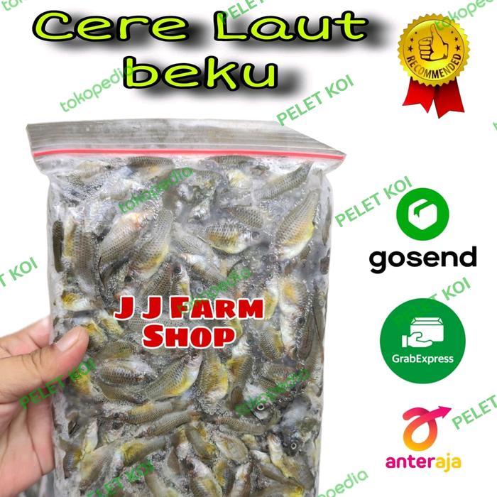 IKAN CERE LAUT BEKU // CERE BEKU FRESH 500gr pakan ikan peredator TOP