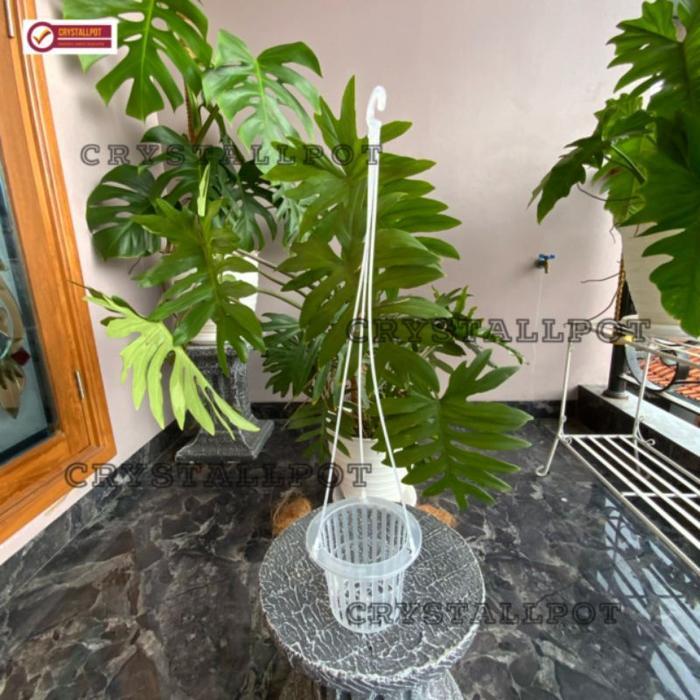 NEWW Pot Bunga Gantung NKT Netpot 14cm Bening Transparan untuk Anggrek