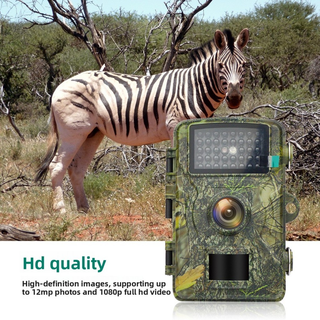 Farm Monitoring Camera Outdoor Orchard Agricultural Surveillance IP66 Infrared Night Vision Wildlife
