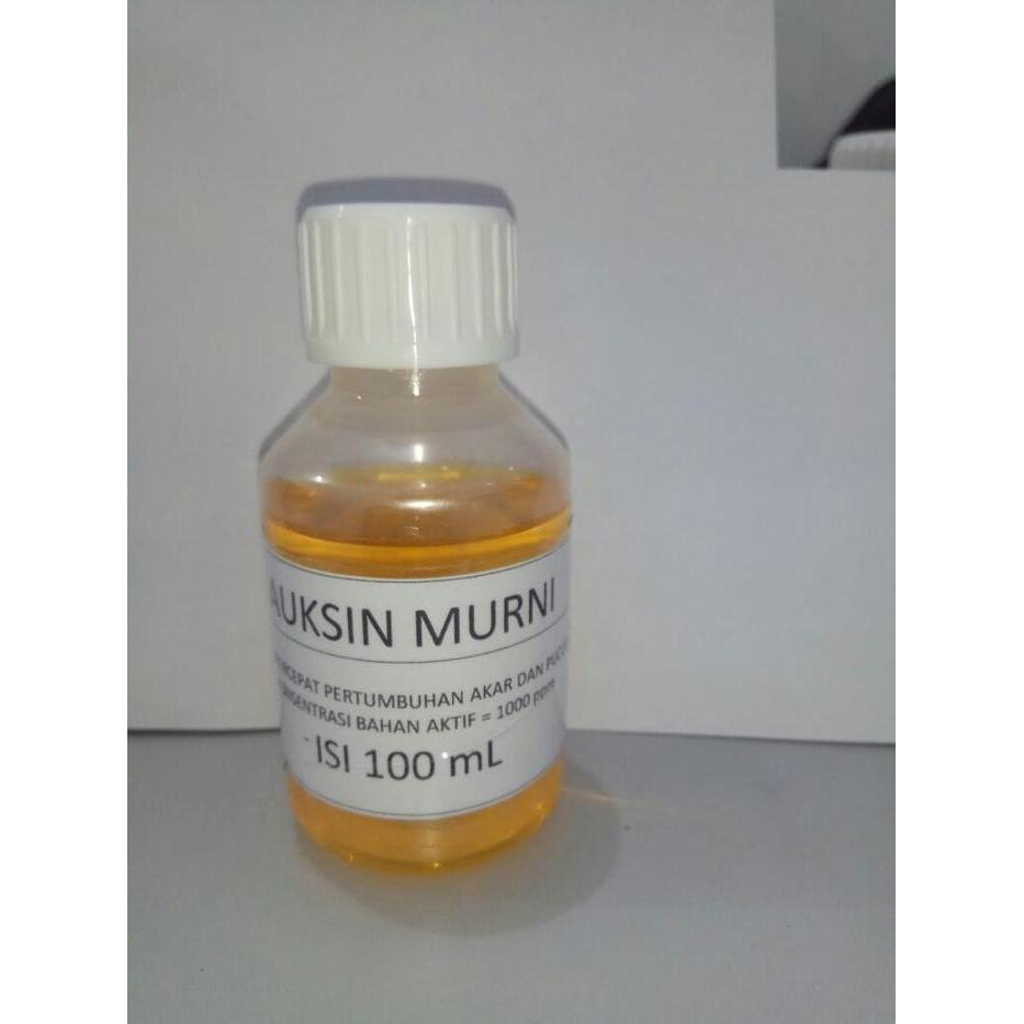 "New" HORMON TANAMAN AUKSIN