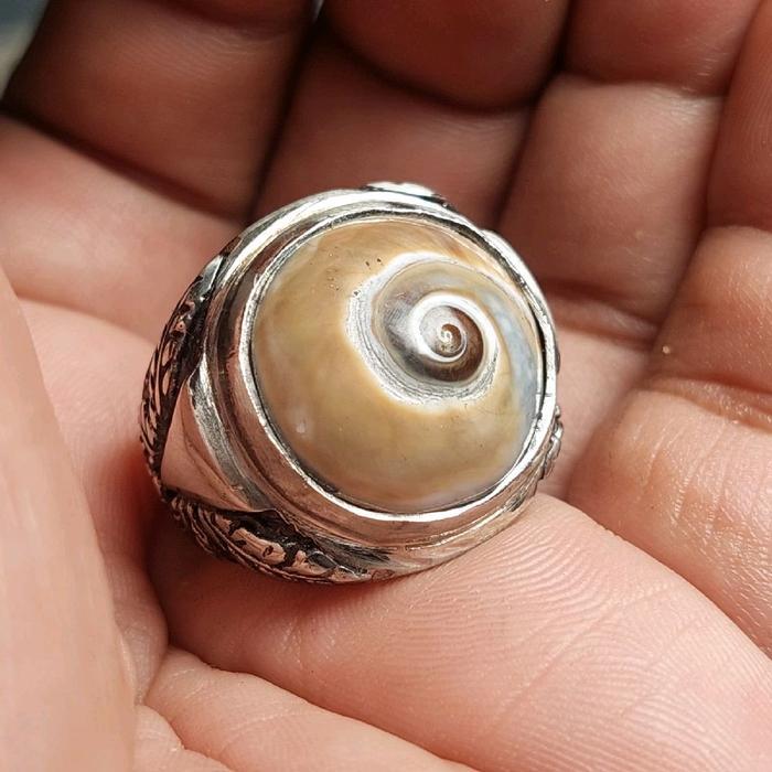 Cincin keong kul buntet coklat asli alam / keong pusar bumi Rings