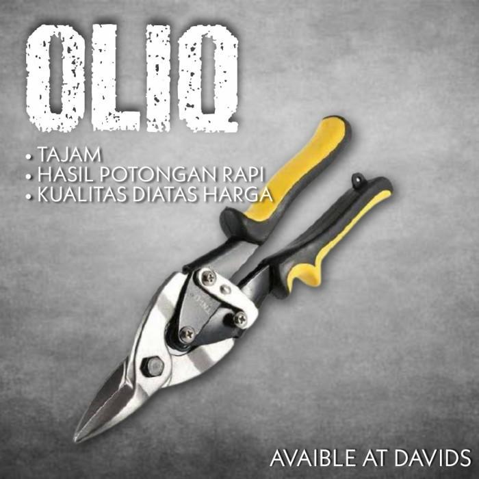 Gunting Baja Ringan Galvalum Seng Spandek Pemotong Hollow Holo Oliq 10"