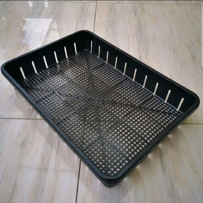 Tray Pot Semai Bibit 50 cm / Tray Hydroponik Untuk Semai Bibit