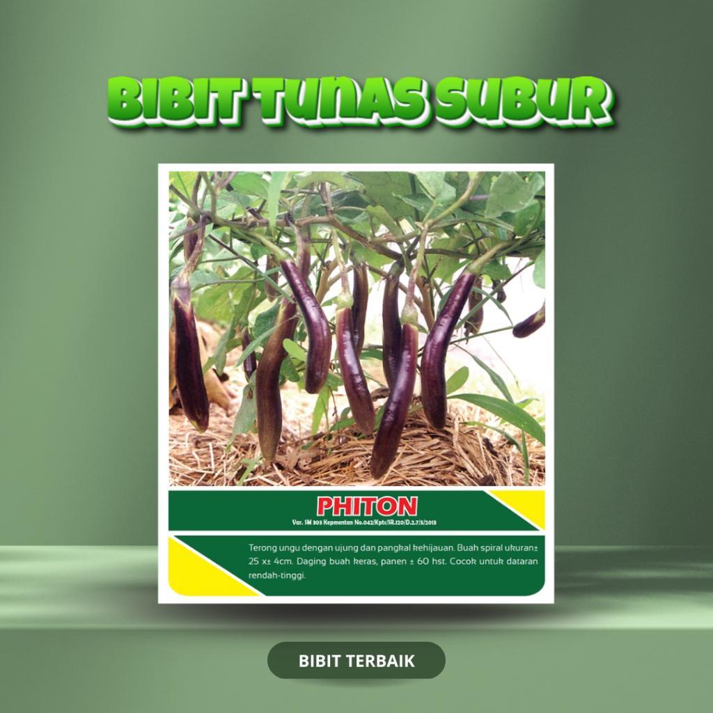 Benih Bibit Terong Ungu Phiton – Tunas Subur (10 gram)