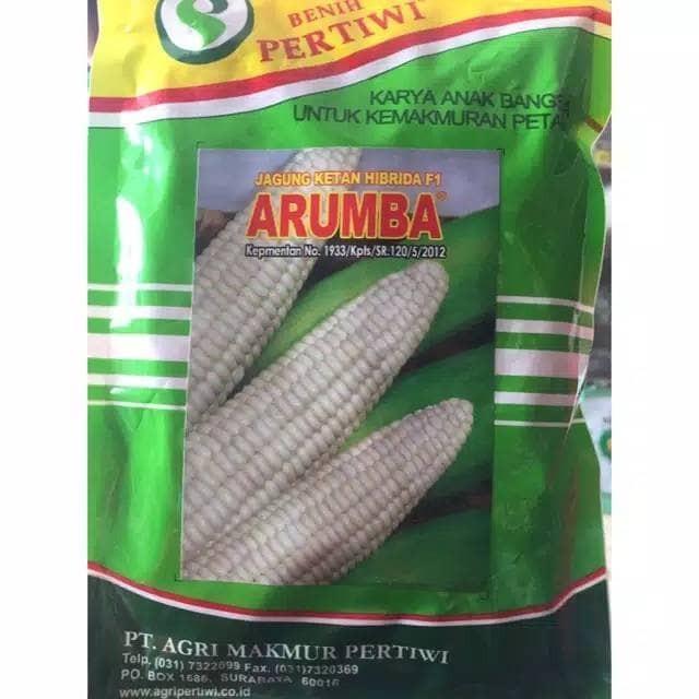 Thebest- benih / bibit jagung pulut manis ARUMBA