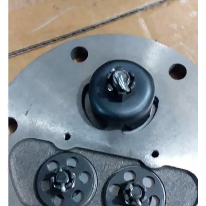 Valve Assy Bison 15Hp