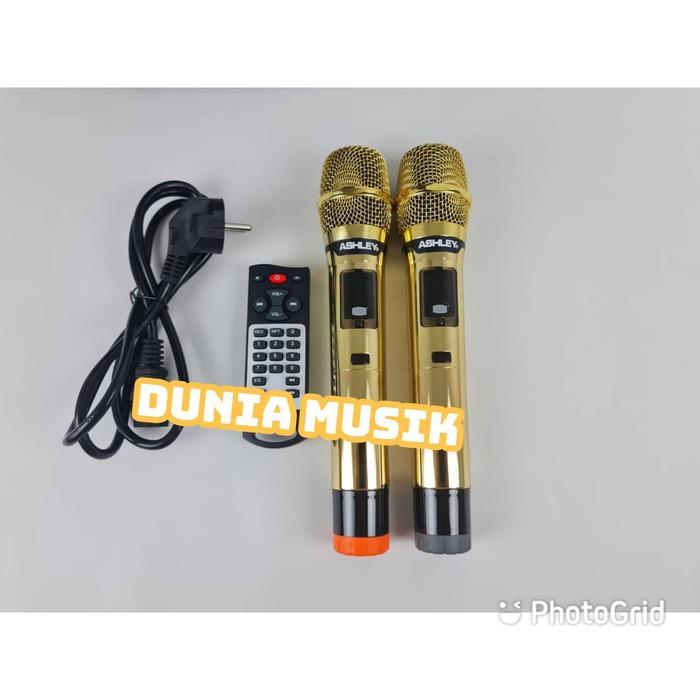Speaker Portable Ashley Ir500 Ir 500 / Ir500 I R500 Original Terjamin