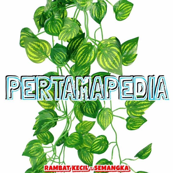 Daun Rambat Plastik/ Daun Rambat Palsu/ Daun Rambat Sintetis.