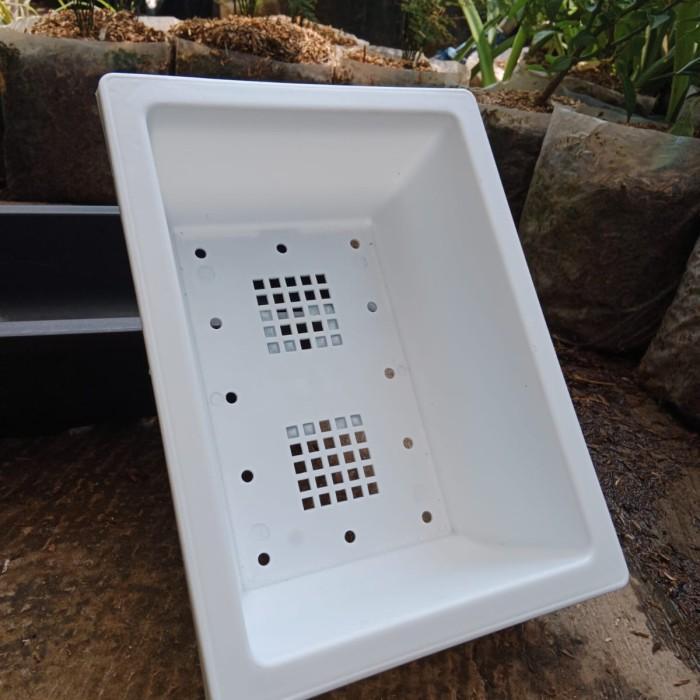 Koralineshop Pot Bonsai Kotak Plastik Nkt 01, Pot Bonsai Ceper Bagus, Tebel