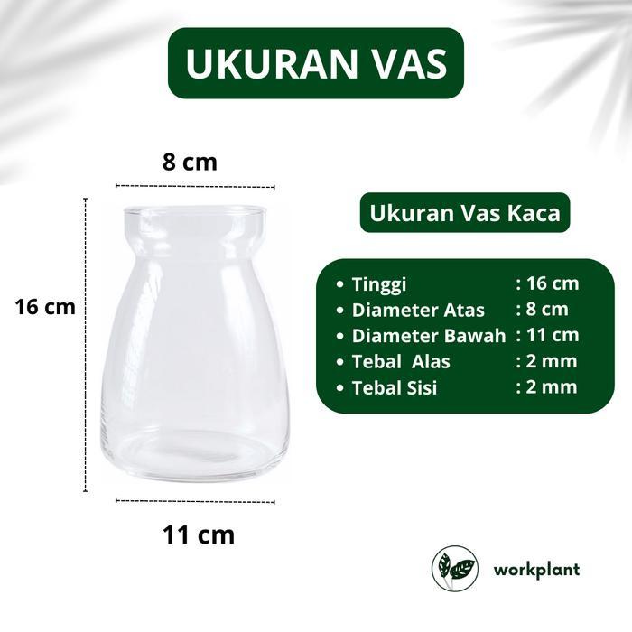 Vas Kaca Zircon - Vas Bunga Asthetic Pot Bunga Tanaman Hias Hidroponik