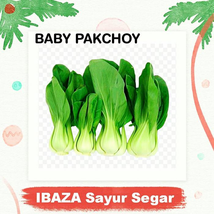 Sayur segar SAWI PAKCHOY BABY Sayur Segar IBAZA fruitsBOX ( ini adalah sayuran segar, BUKAN Benih )
