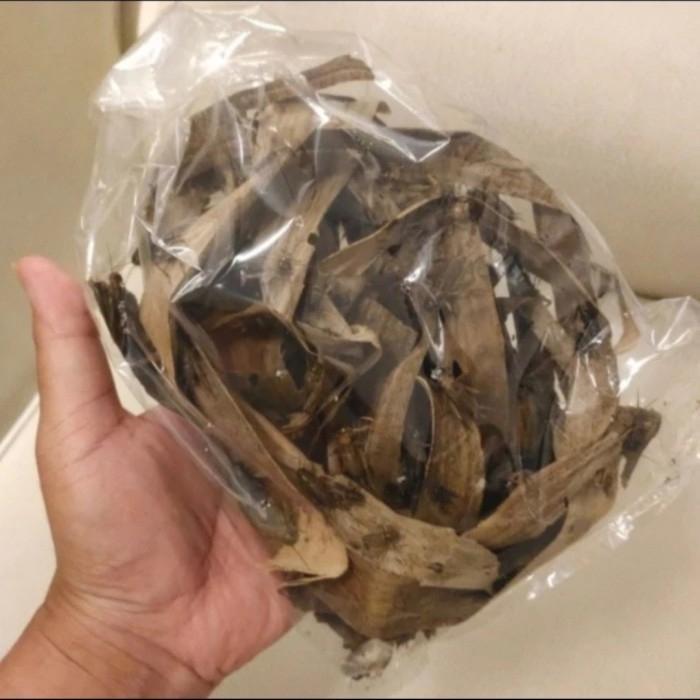 Jangkrik hidup pakan burung / ikan kemasan sedang