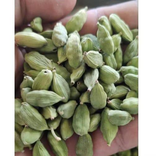 Spicesking Kapulaga Hijau 1 Kg Kapulaga India Cardamom Soluble Spices Bahan Alami Berwarna Hijau 1