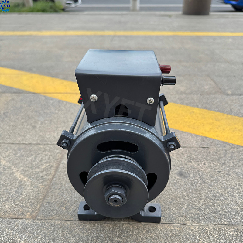 Free Energy 5000W Permanent Magnet Generator 220V AC High Efficiency Alternator Low Noise Energy
