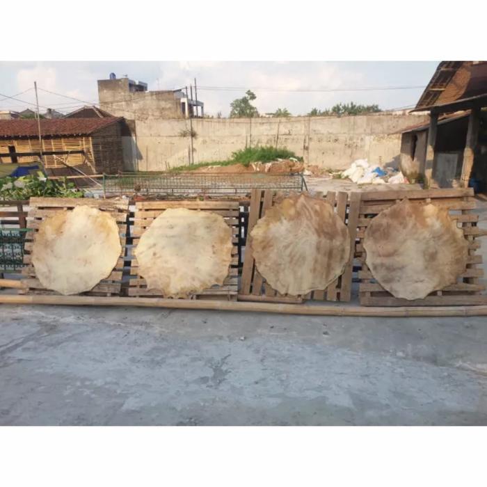 Kulit Bedug Sapi Termurah Ukuran Diameter 90