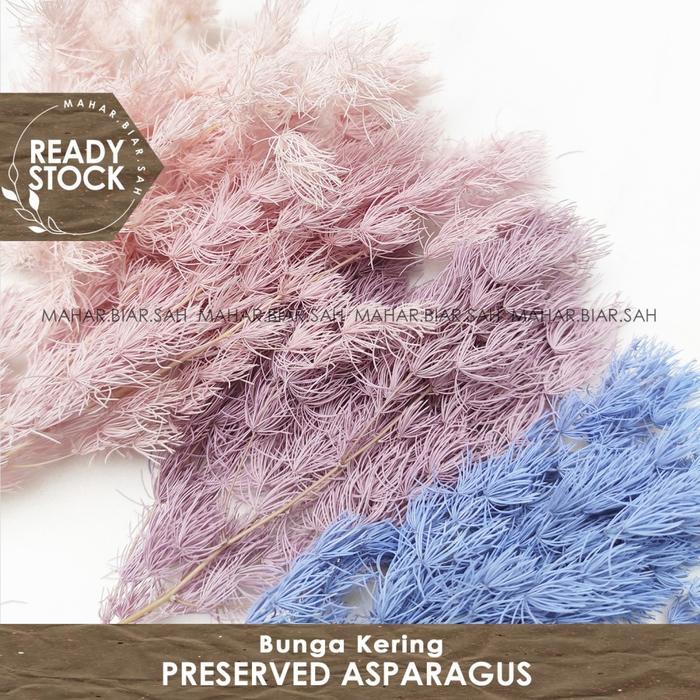5 Gram Preserved Asparagus / Asparagus Bintang / Asparagus Umbellatus / Bunga Kering / Dried Flower