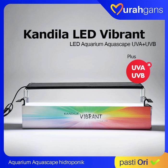 LAMPU AQUARIUM KANDILA VIBRANT LED AQUARIUM GANTUNG UVA UVB